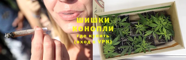амф Краснослободск