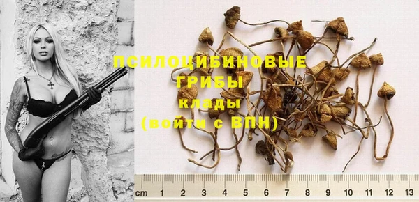 круглые Кукмор
