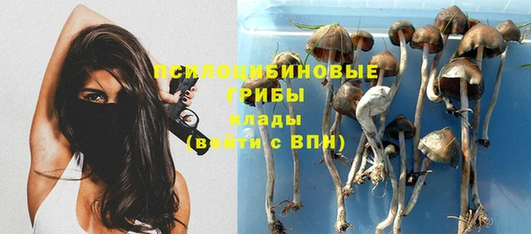 дурь Кулебаки
